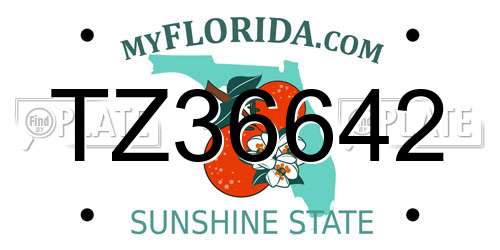 TZ36642 Florida License Plate