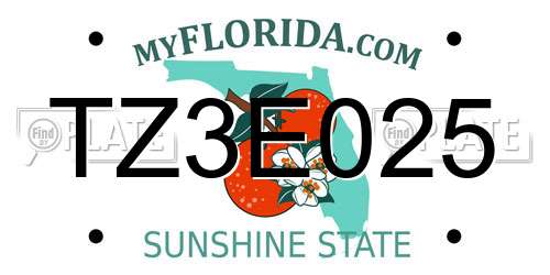 TZ3E025 Florida License Plate