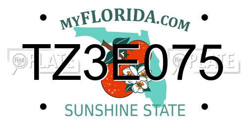 TZ3E075 Florida License Plate