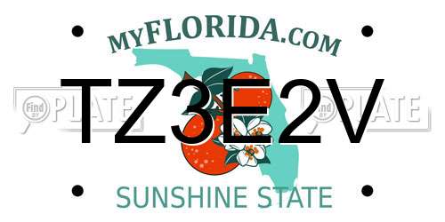TZ3E2V Florida License Plate