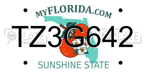 TZ3G642 Florida License Plate