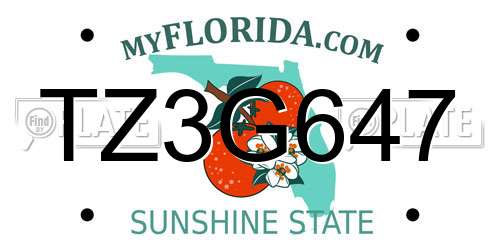 TZ3G647 Florida License Plate
