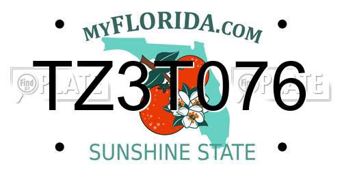 TZ3T076 Florida License Plate