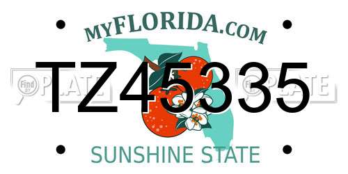 TZ45335 Florida License Plate
