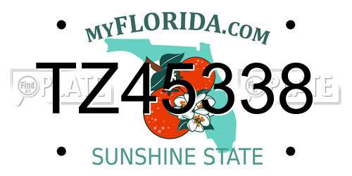 TZ45338 Florida License Plate