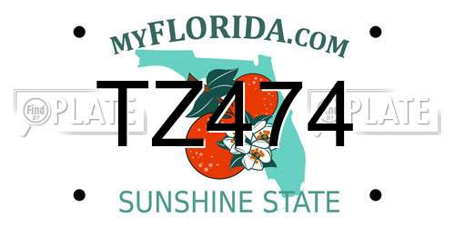 TZ474 Florida License Plate