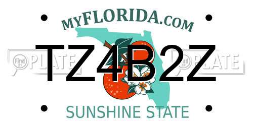 TZ4B2Z Florida License Plate