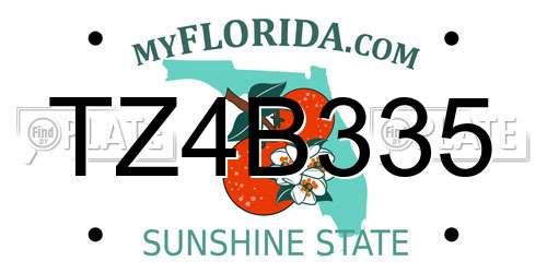 TZ4B335 Florida License Plate
