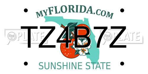 TZ4B7Z Florida License Plate