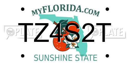 TZ4S2T Florida License Plate