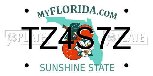 TZ4S7Z Florida License Plate
