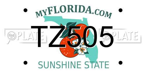 TZ505 Florida License Plate