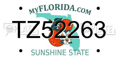 TZ52263 Florida License Plate