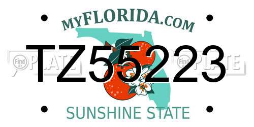 TZ55223 Florida License Plate