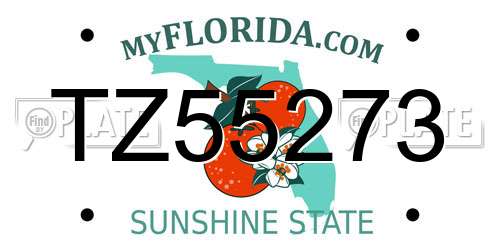 TZ55273 Florida License Plate