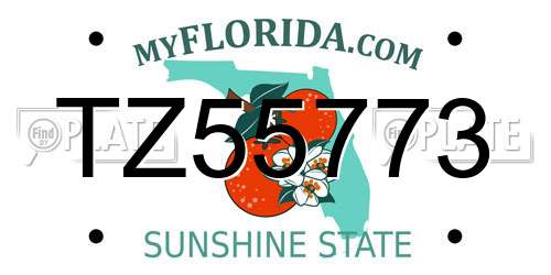 TZ55773 Florida License Plate