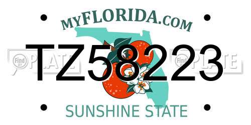 TZ58223 Florida License Plate