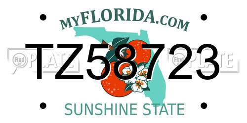 TZ58723 Florida License Plate
