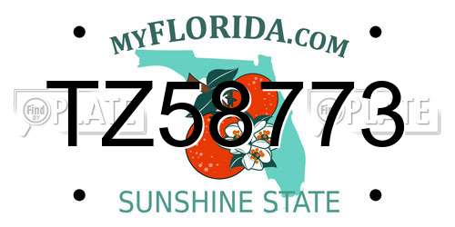 TZ58773 Florida License Plate