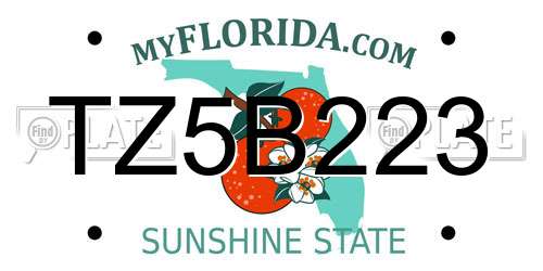 TZ5B223 Florida License Plate