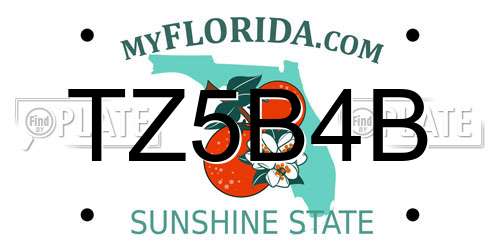 TZ5B4B Florida License Plate
