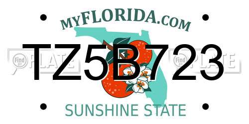TZ5B723 Florida License Plate