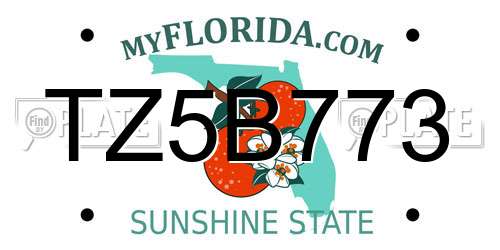 TZ5B773 Florida License Plate