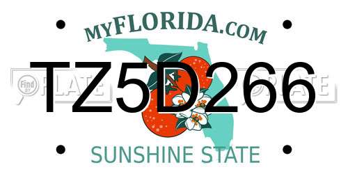 TZ5D266 Florida License Plate
