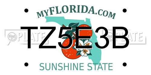 TZ5E3B Florida License Plate