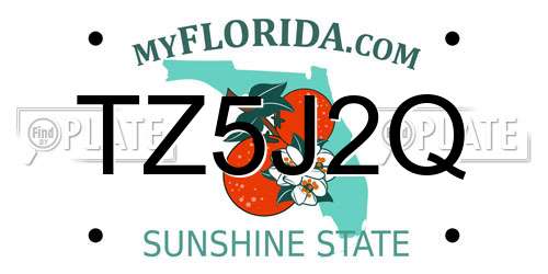 TZ5J2Q Florida License Plate