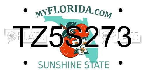 TZ5S273 Florida License Plate