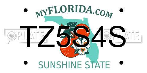 TZ5S4S Florida License Plate