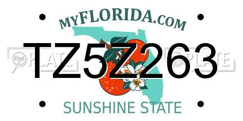 TZ5Z263 Florida License Plate