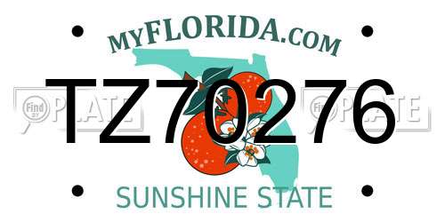 TZ70276 Florida License Plate
