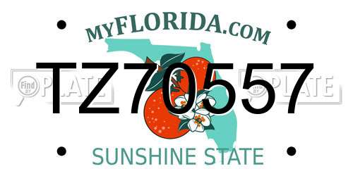 TZ70557 Florida License Plate