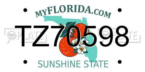 TZ70598 Florida License Plate