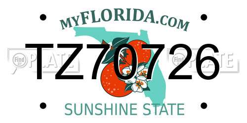 TZ70726 Florida License Plate