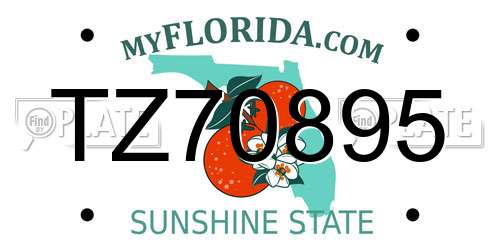 TZ70895 Florida License Plate