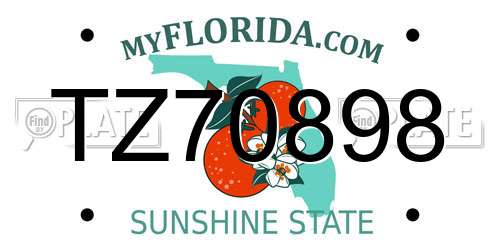 TZ70898 Florida License Plate