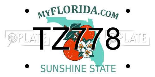 TZ778 Florida License Plate