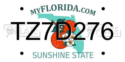 TZ7D276 Florida License Plate