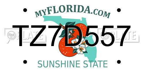 TZ7D557 Florida License Plate