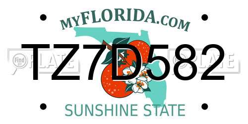 TZ7D582 Florida License Plate