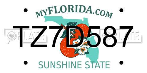 TZ7D587 Florida License Plate