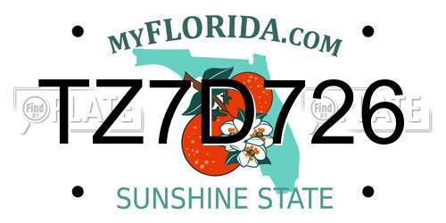 TZ7D726 Florida License Plate