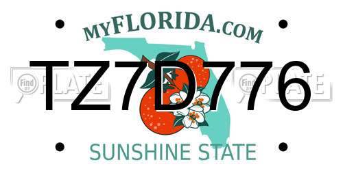 TZ7D776 Florida License Plate