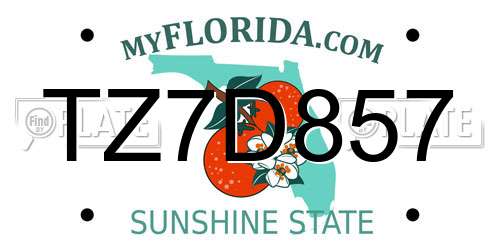 TZ7D857 Florida License Plate