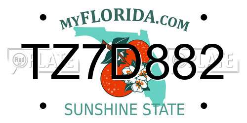 TZ7D882 Florida License Plate