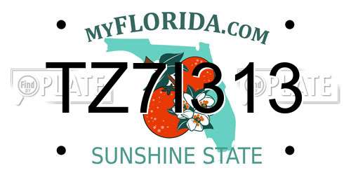 TZ7I313 Florida License Plate