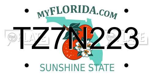TZ7N223 Florida License Plate